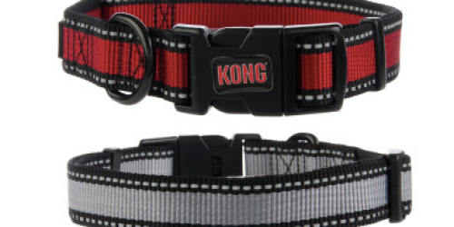PetSmart: KONG Reflective Dog Collars Only $4.49 (Reg. $11.99!) + FREE In-Store Pickup
