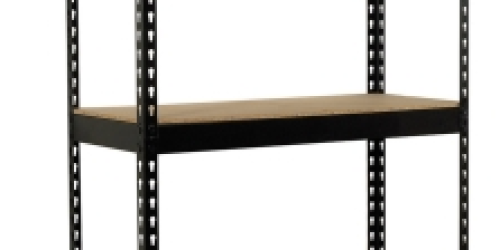 Ace Hardware: Colossal Rack 5 Tier Steel Shelving Unit Only $29.99 After Rebate + FREE Store Pickup
