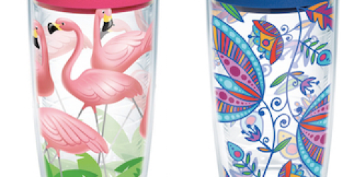 GoCause: $13.99 Gets YOU Tervis Tumbler w/ Lid AND Helps to Fund Anti-Diarrhea Kit in Zambia