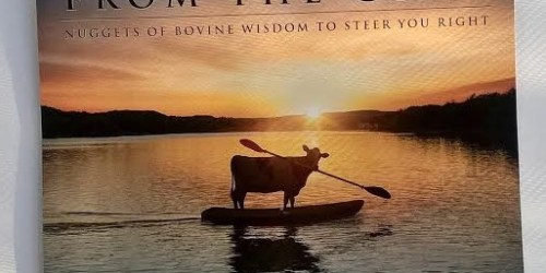 Chick-Fil-A 2016 Coupon Calendar NOW Available (Includes 12 FREE Food & Drink Coupons)