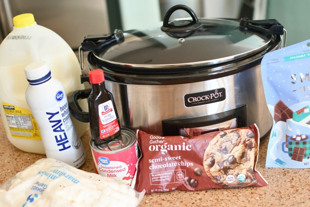 ingredients for slow cooker hot chocolate