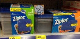 Ziploc Containers