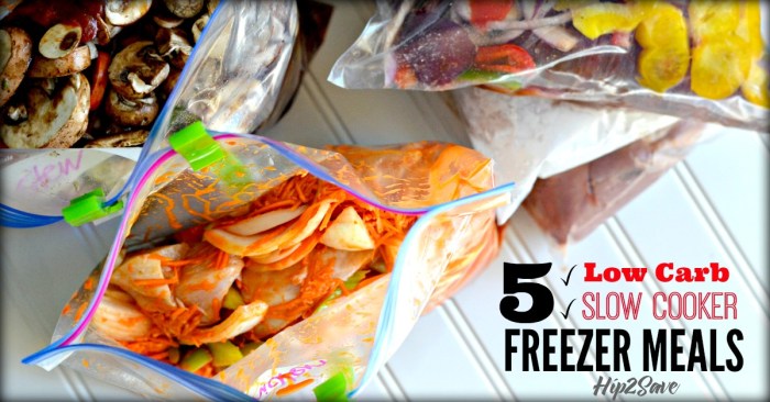5 Low Carb Recipes for Slow Cooker Freezer Meals Hip2Save.com