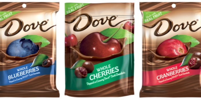 New $1/2 Dove Fruit & Nut Bags Coupon