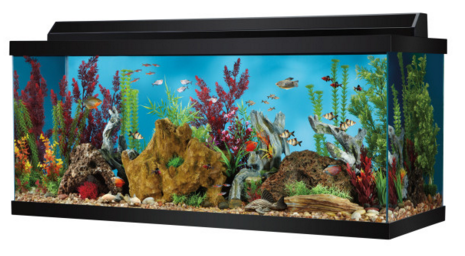Top Fin 75 Gallon Hooded Aquarium