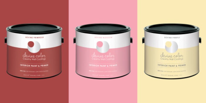 Target Clearance Find: Divine Color by Valspar 2.5 Liter Paint Possibly Only $7.48 (Reg. $24.99)