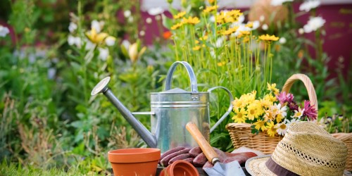 Reader Question: Share YOUR Frugal Gardening Tips (+ DIY Stacked Potted Herb Garden Idea)