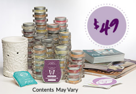 Scentsy Starter Kit
