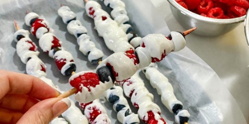 Frozen Yogurt Fruit Kabobs Recipe