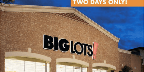 Big Lots: 20% Off Purchase (This Weekend Only)