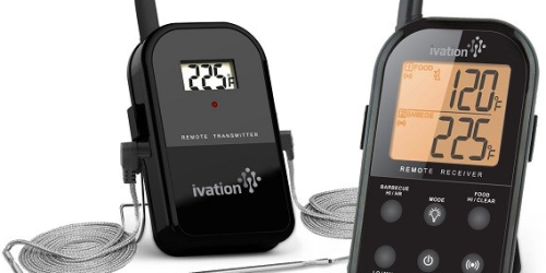 Long Range Wireless BBQ Thermometer Set $34.99 Shipped (Great Father’s Day Gift)