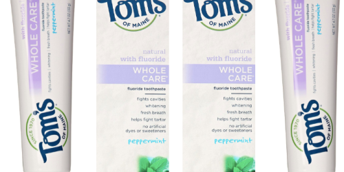 Amazon: Tom’s of Maine Toothpaste ONLY 69¢ Per Tube Shipped