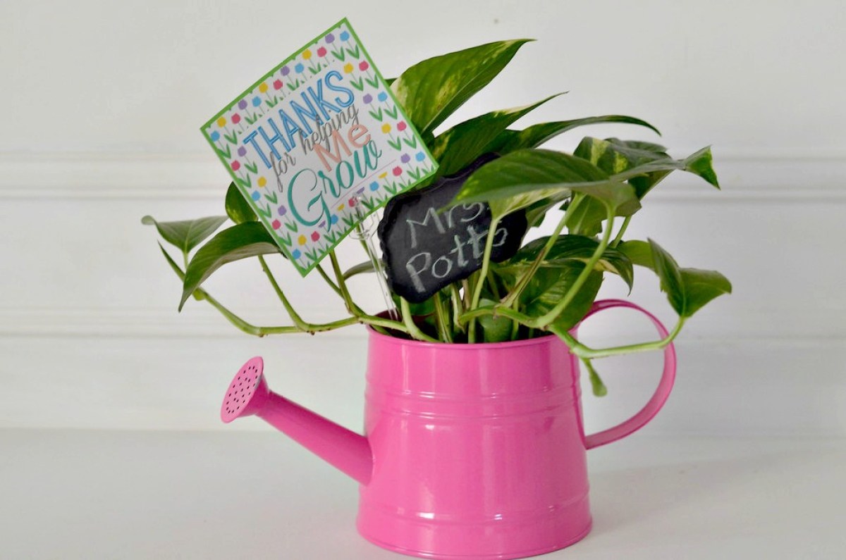 free printables diy gifts