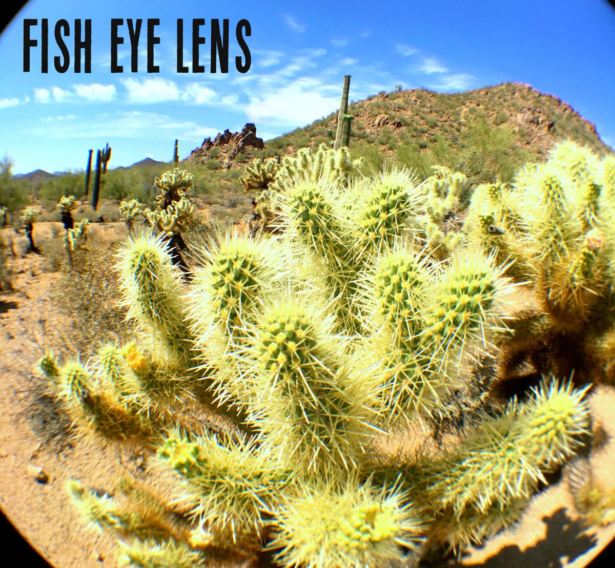 How to Use a Fish Eye External Lens Hip2Save.com