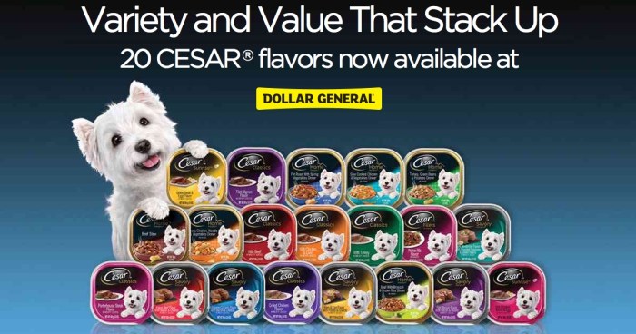 Dollar General Cesar