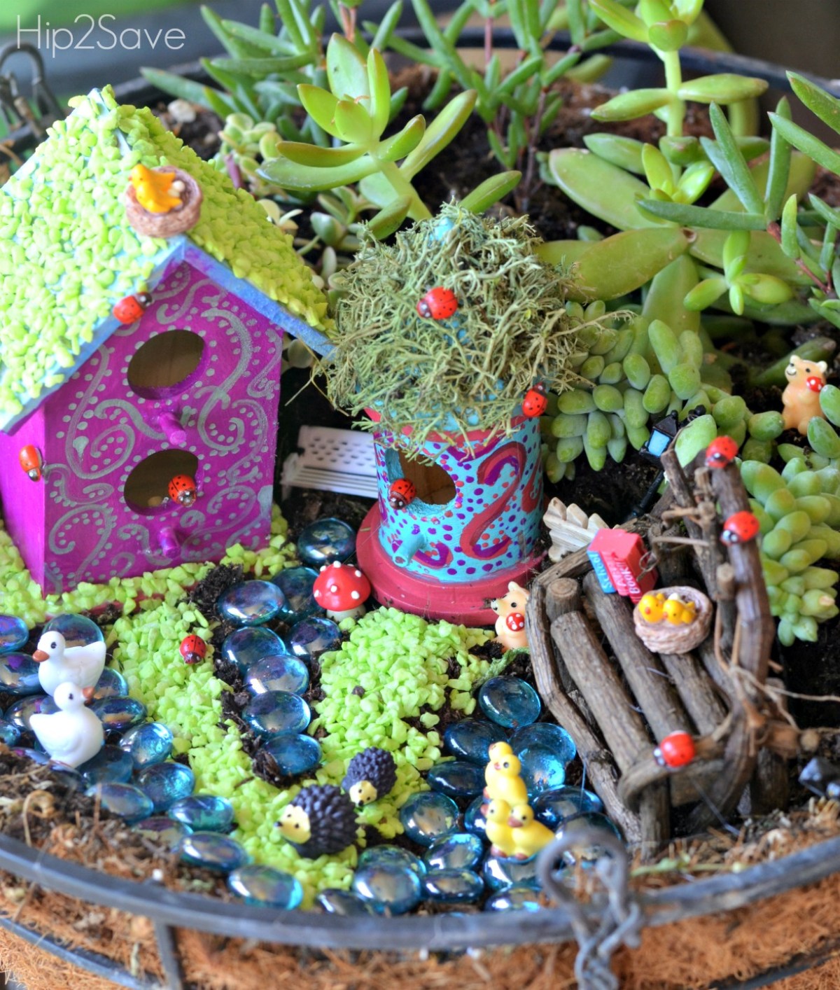 Easy Frugal Fairy Garden Hip2Save.com