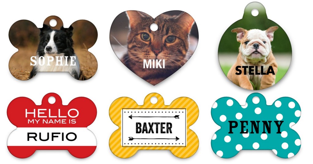 Pet Tag