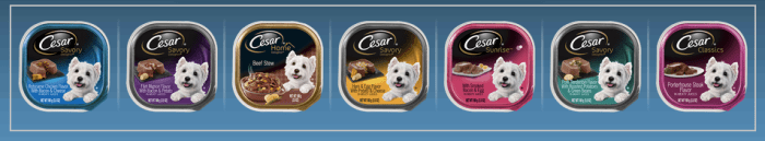 Cesar Dog Food