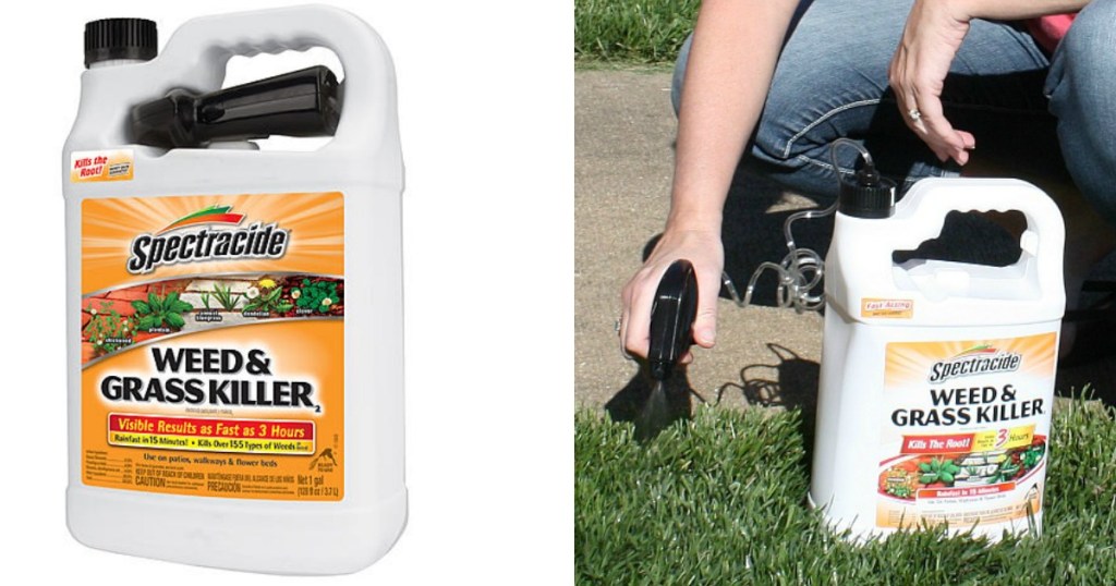 Spectracide Weed & Grass Killer