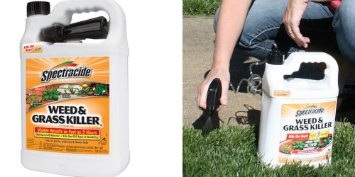 Kmart: Spectracide Weed & Grass Killer Only $1.94 (After Shop Your Way Points)
