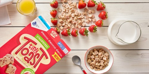FREE Sample of General Mills Tiny Toast Cereal