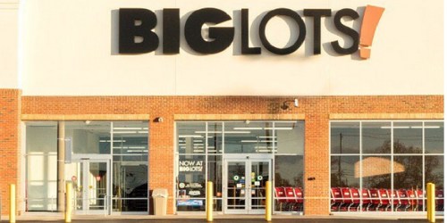 Big Lots: 20% Off Your Entire Purchase (This Weekend Only) – In-Store & Online
