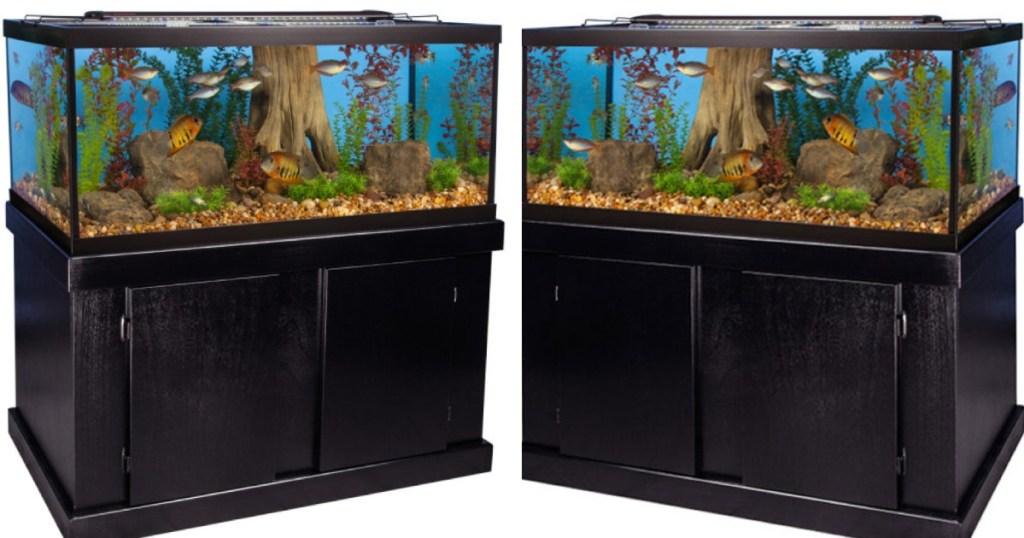Aquarium
