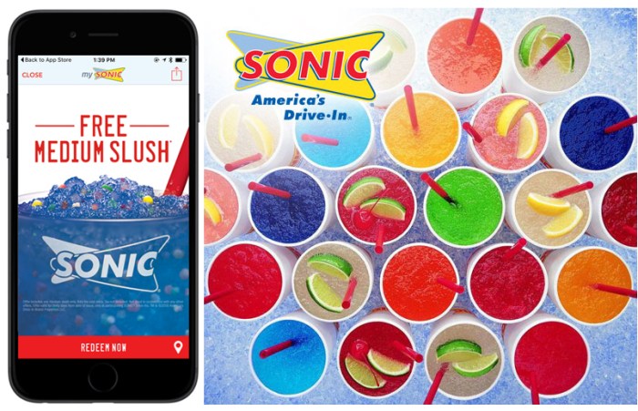 Sonic Slush