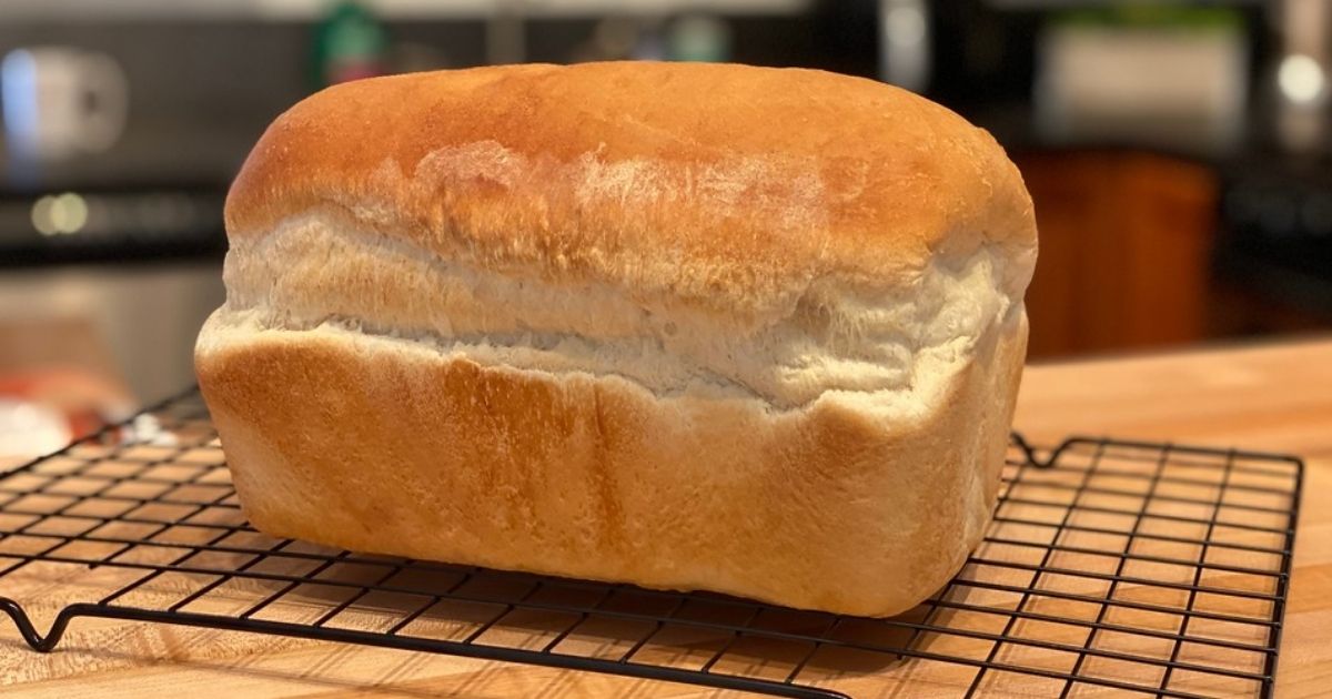 A loaf of fresh-baked bread on a baking rack