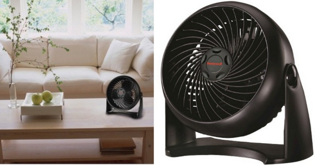 Fan