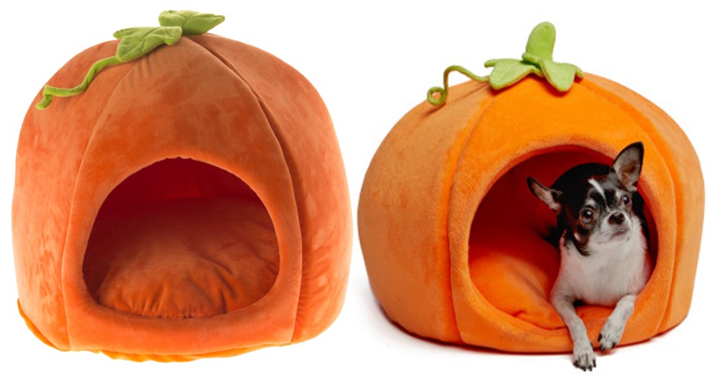 pumpkin bed