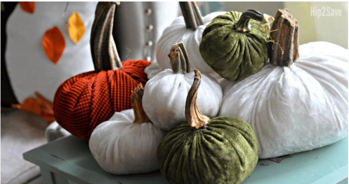 Velvet Pumpkins