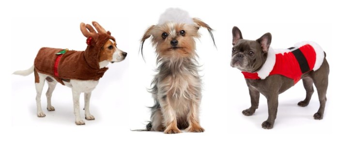 Pet Smart
