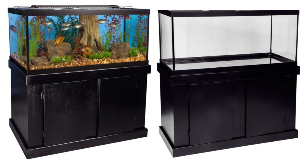 aquarium
