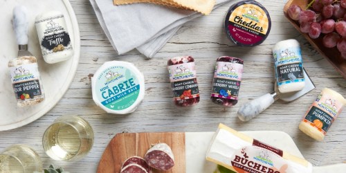 Montchevre Cheese Bundles ONLY $60 (Regularly $75) + Free 2-Day Shipping