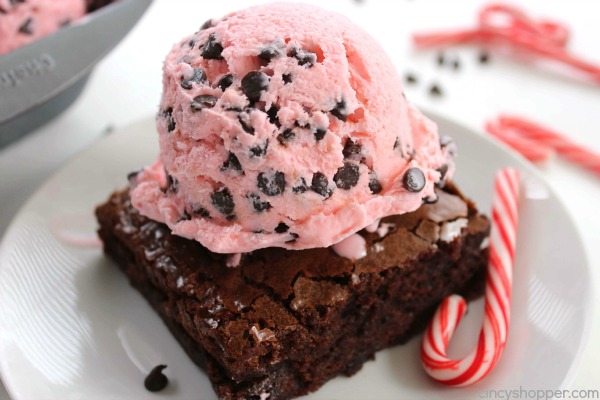 No Churn Peppermint Chocolate Chip Ice Cream