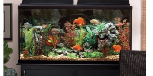 PetSmart: Marineland 60 Gallon Aquarium w/ Stand Only $179.99 (Regularly $349.99)