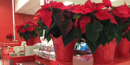 Target Cartwheel: 50% Off Fresh Poinsettia Plants = 6″ Plant As Low As $1.49 (Reg. $2.99)