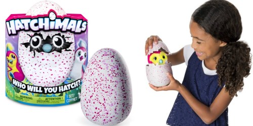 Gamestop.com: Hatchimals Hatching Eggs Only $59.99 (In Stock NOW)