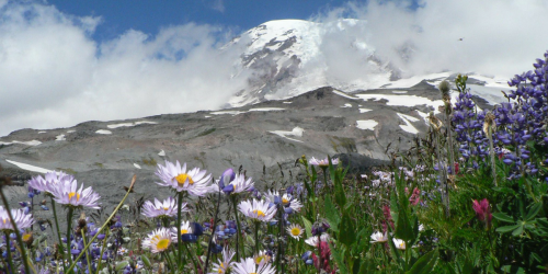 Mark Your Calendars! 2017 Free Entrance Days For National Parks Announced