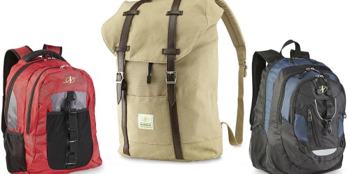Sears.com: NordicTrack Men’s Backpacks Only $13.75 (Regularly $55)