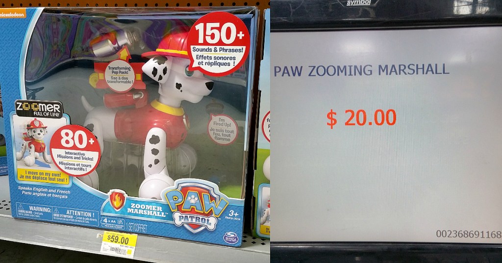paw-patrol