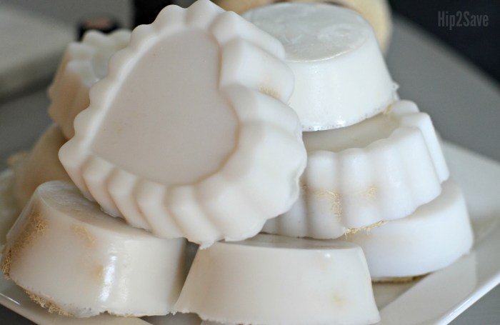 easy-diy-loofah-soaps