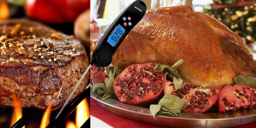Amazon: Digital Talking Meat Thermometer Only $9.93 (Regularly $26.99)