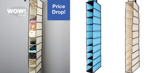 Hollar: Sunbeam 10-Level Hanging Closet Organizer ONLY $1 (Today Only)