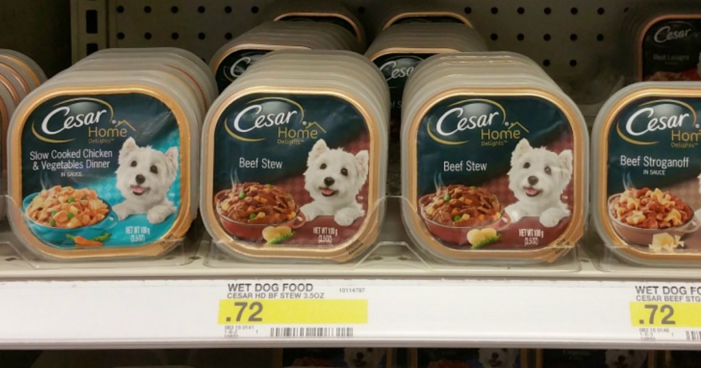 Cesar Wet Dog Food