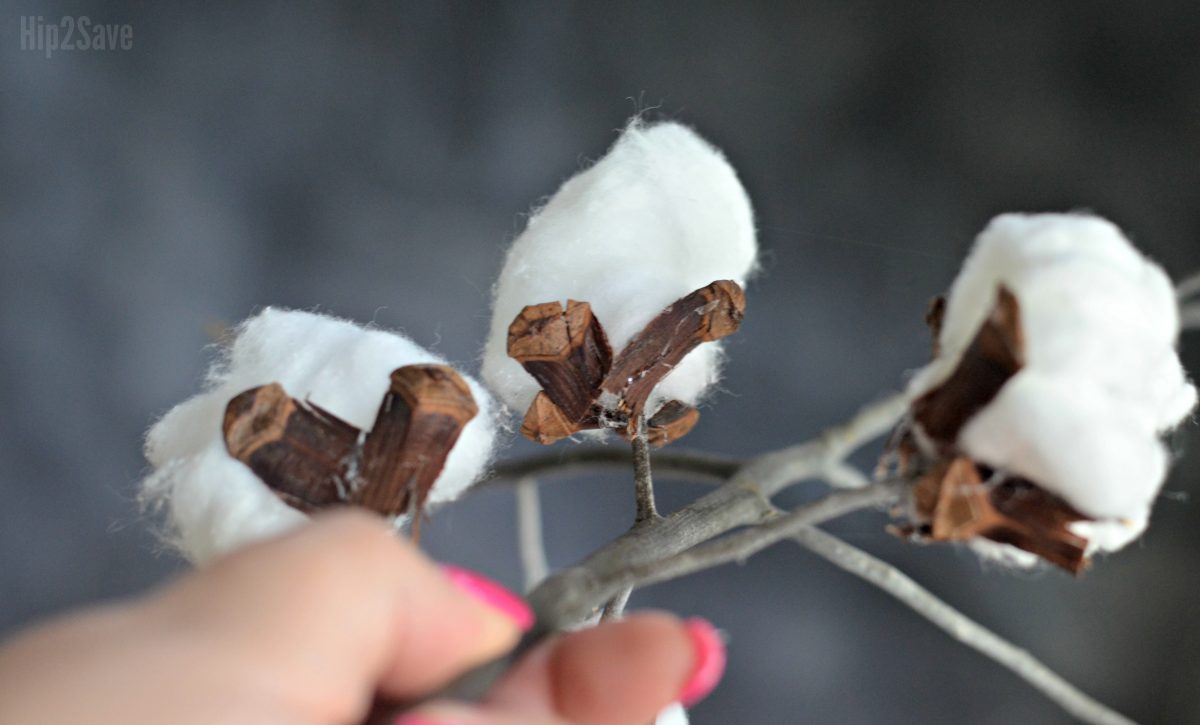 closeup of the cotton stem decor