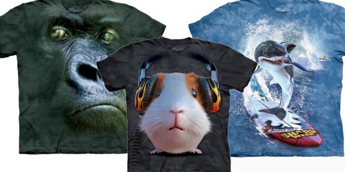 TheMountain.com: FUN Kids’ T-Shirts Only $5 Each (Regularly $16) + Extra 40% Off Clearance