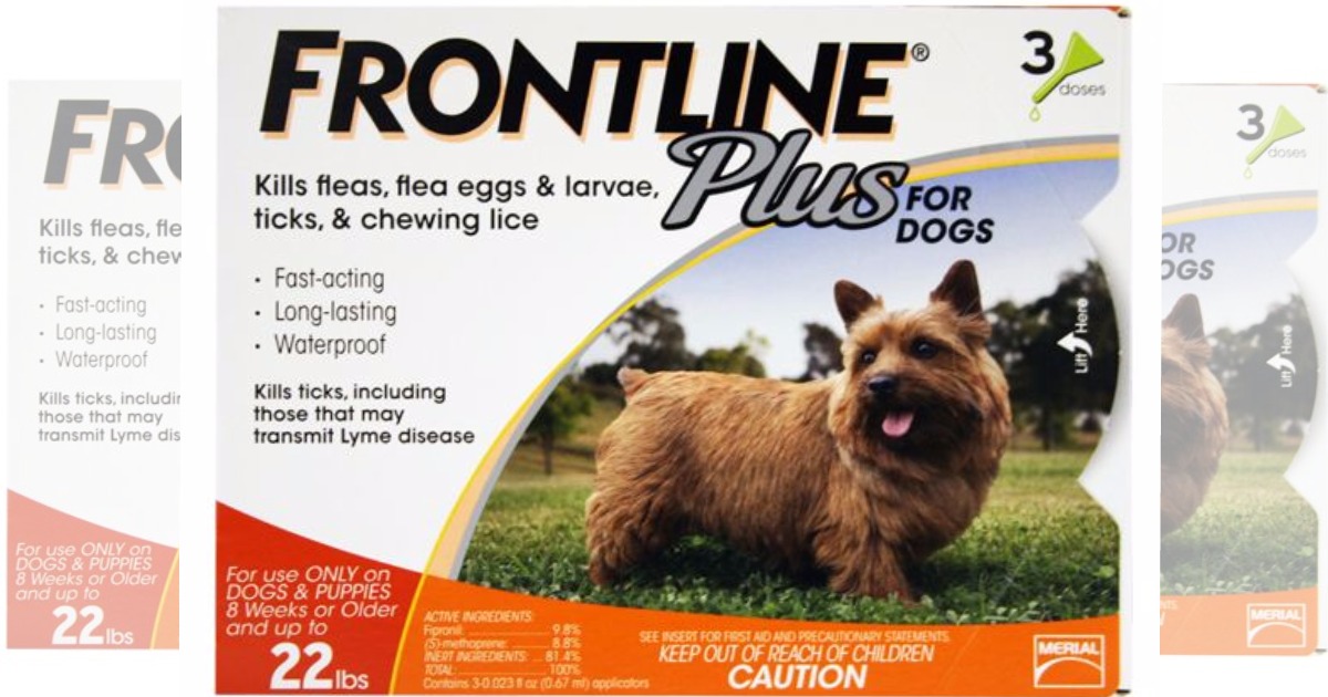 stock image of frontline plus dog treatment