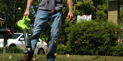 Greenworks Electric Blower Only $16.21 (Regularly $49.99)